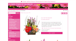Desktop Screenshot of flowertownofsalisbury.com